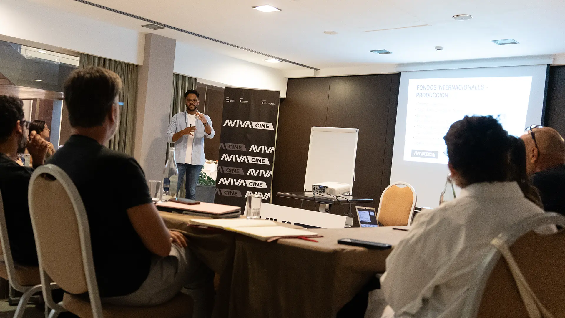 Film production and cinema